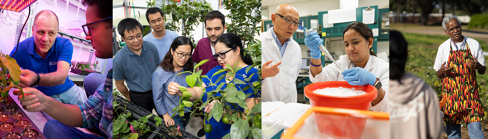 UF/IFAS faculty with students. UF/IFAS photo