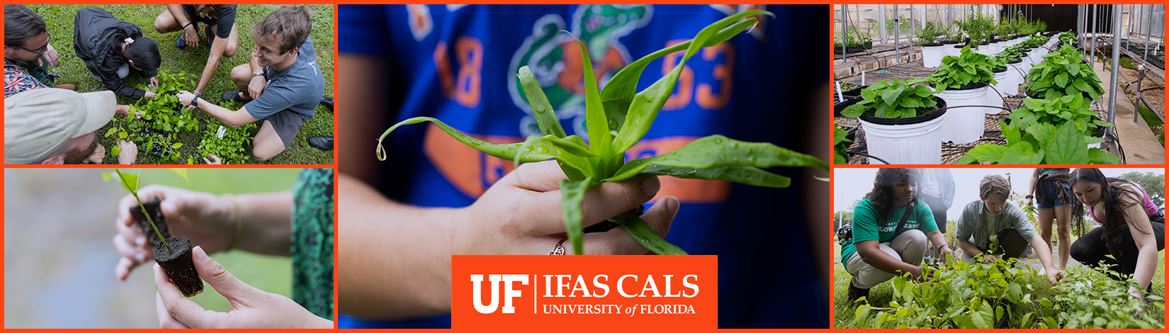 plant science summer homepage banner