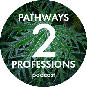 Pathways to Professions Podcast image link