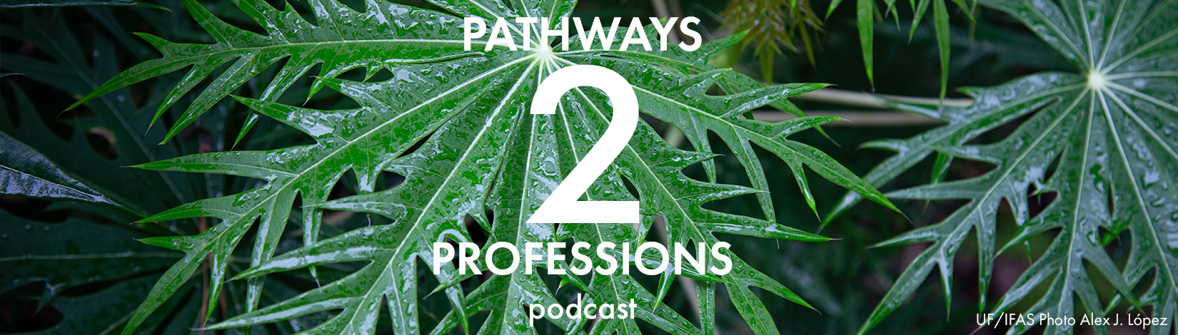 Pathways to Professions podcast title banner image, uf/ifas photo by Alex J. Lopez